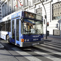 bus