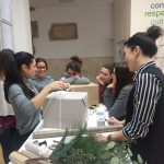 ikea belardes